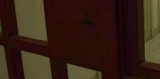 Bologna, due giovani evadono da Istituto penale per minorenni