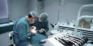 Esperti: “Benessere orale determinante per salute sistemica e pubblica”