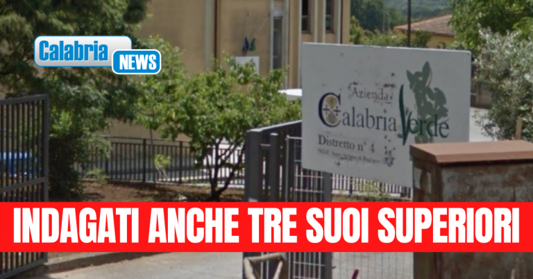“Neanche un giorno di lavoro in cinque anni”: le accuse del Gip all’operaio forestale di ‘Calabria Verde’