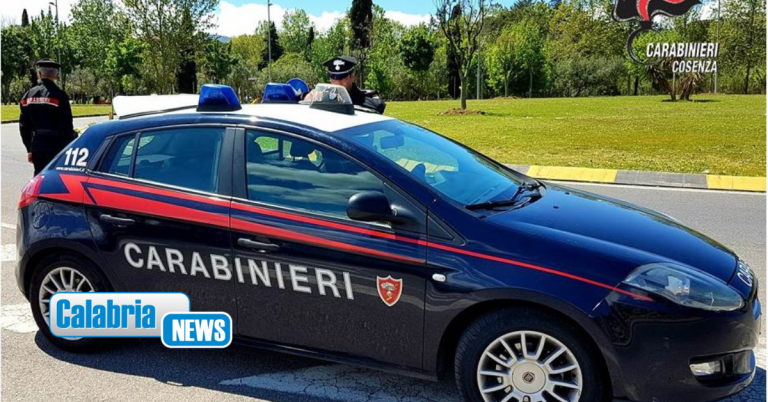 Cosenza, hascisc e cocaina nascoste nella libreria di casa: 55enne finisce in manette