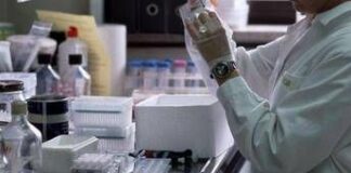 Doping: Wada approva nuovo laboratorio Fmsi di Roma