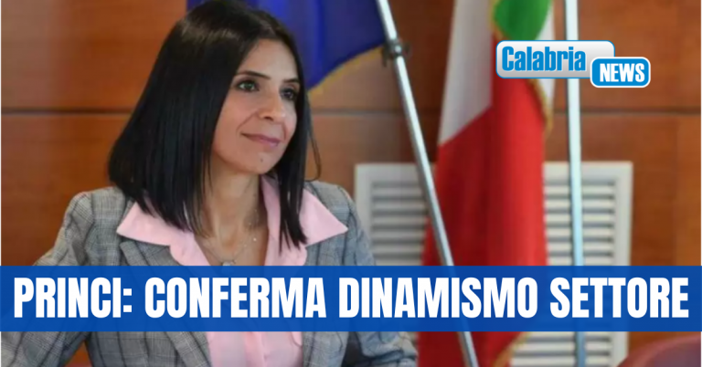 Riforma ITS, in Calabria il maggior numero di adesioni a livello nazionale- ELENCO SCUOLE-AZIENDE