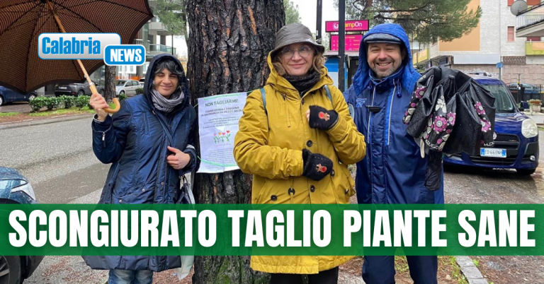 Sit-in in difesa degli alberi a Rende: le associazioni chiedono un incontro ai Commissari prefettizi