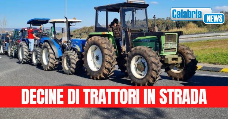 Protesta agricoltori, presidio trattori sulla SS Ionio-Tirreno: invettive contro le politiche Ue