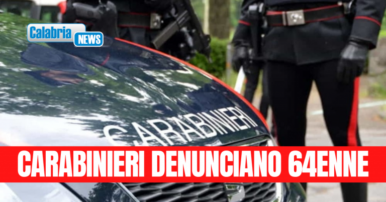 Reggio Calabria, infastidito dai cani del vicino che abbaiano tenta di ucciderli