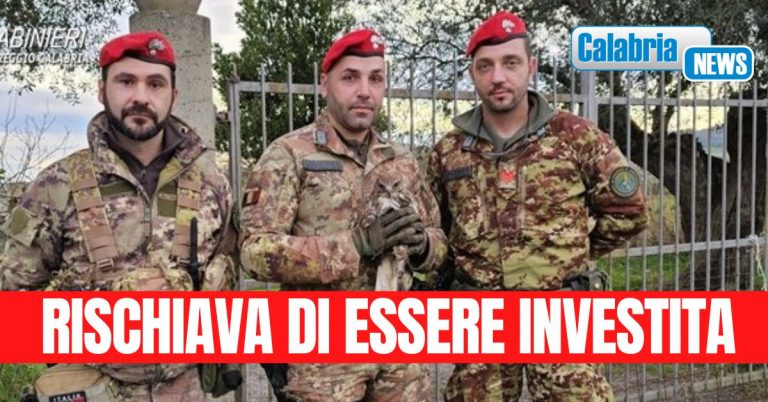 Reggio Calabria: i carabinieri salvano una poiana da una morte sicura