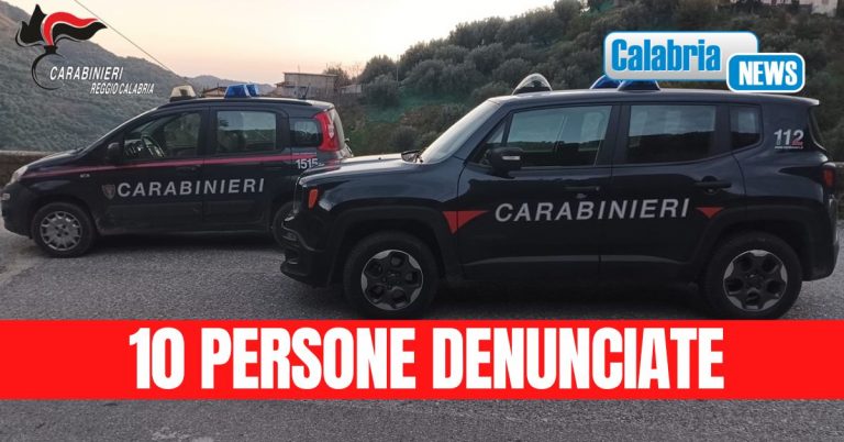 Melito di Porto Salvo: controlli serrati agli opifici oleari da parte dei carabinieri