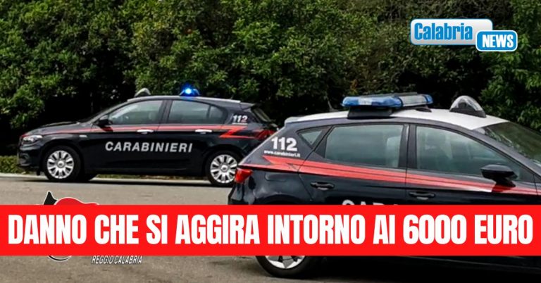 Melicucco, furto di energia elettrica: denunciate 6 persone