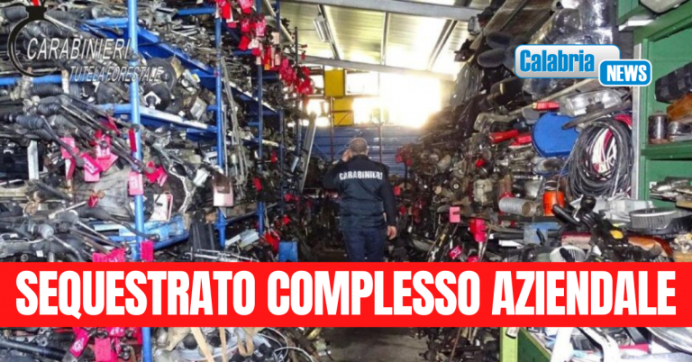 Scoperta nel Cosentino mega discarica con 200 veicoli fuori uso: denunciato il proprietario