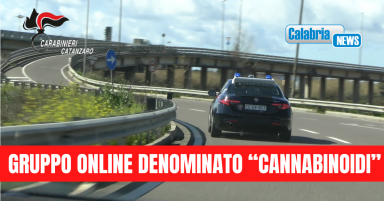 Lamezia, giro di spaccio droga gestito in chat: 14 arresti ad opera dei carabinieri-NOMI
