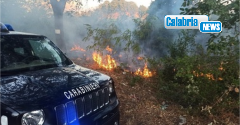Reggio Calabria, piromane pizzicato dai carabinieri: scongiurato un sicuro disastro ambientale