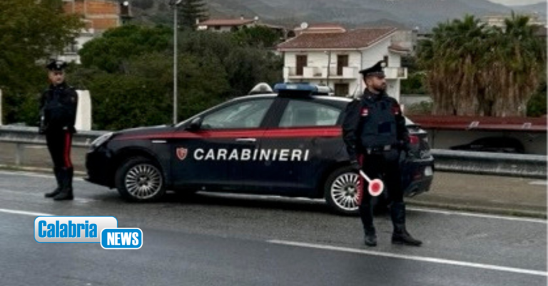 Bova Marina, un fucile a canne mozze e 150 cartucce in un capannone: arrestato il proprietario