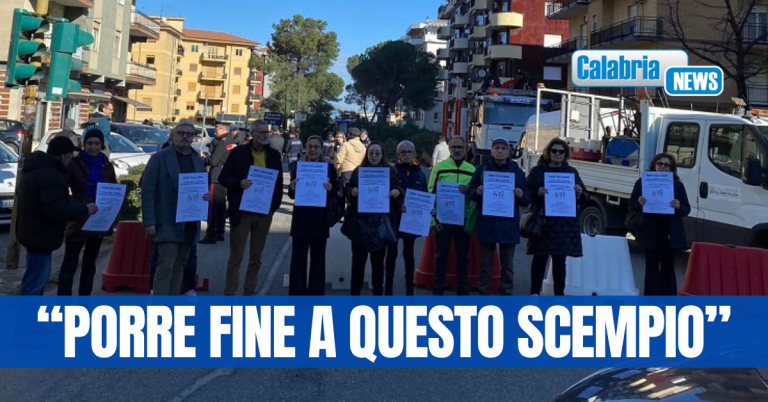 Lettera aperta alle istituzioni sul depauperamento del patrimonio arboreo di Cosenza e provincia