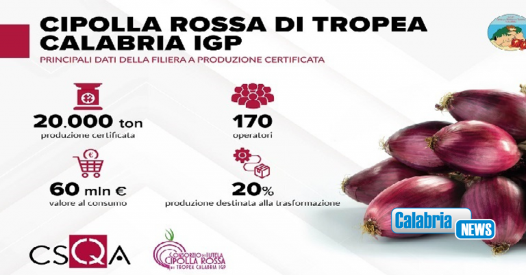 Cipolla Rossa di Tropea Calabria IGP: dalla filiera certificata 60 mln di valore al consumo