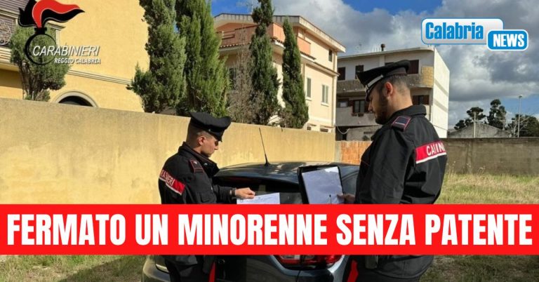 Controlli dei Carabinieri a Gioia Tauro: numerosi deferimenti all’Autorità Giudiziaria