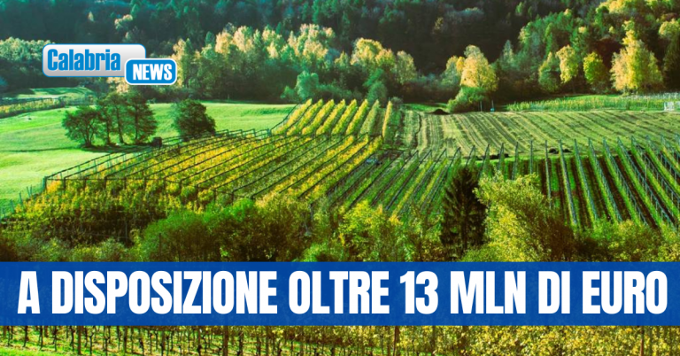 Nuovi impianti frutticoli: C’è tempo fino al 29 febbraio per la presentazione delle domande