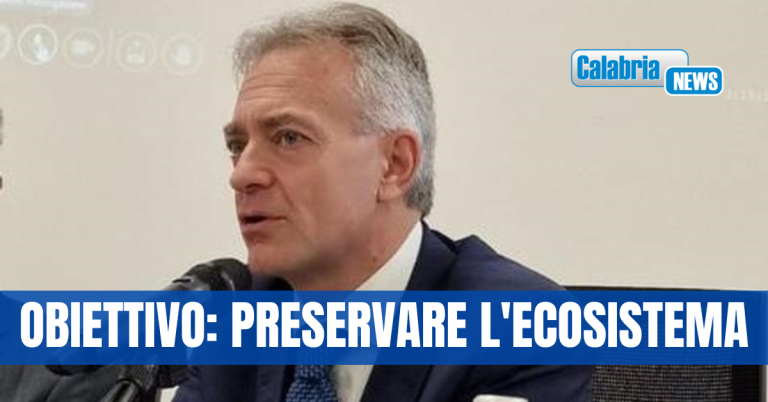 Piano apistico, approvata la graduatoria: 152 progetti e risorse per oltre 1,3 milioni