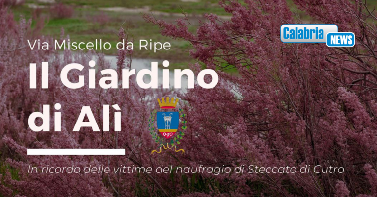 Naufragio Cutro: domenica si inaugura “Il giardino di Ali'”, 94 alberi per ricordare 94 vite spezzate