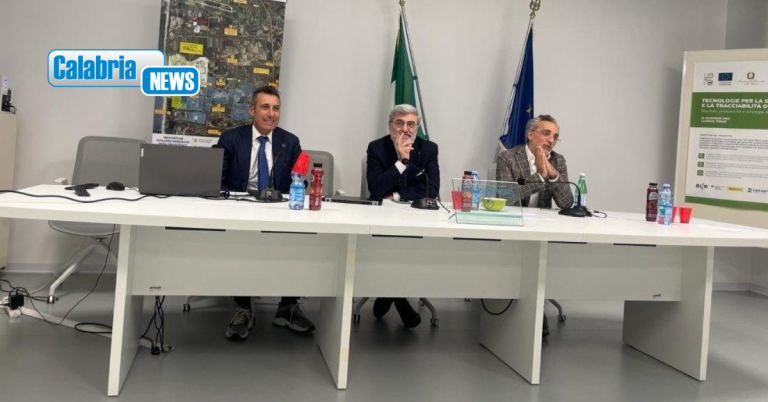 Seminario per le imprese presso il centro servizi Lameziaeuropa: parte l’Academy Paideia