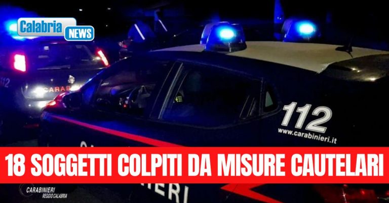 VIDEO-Operazione “Perseverant” dei Carabinieri: la droga nella Piana di Gioia Tauro  viaggia online