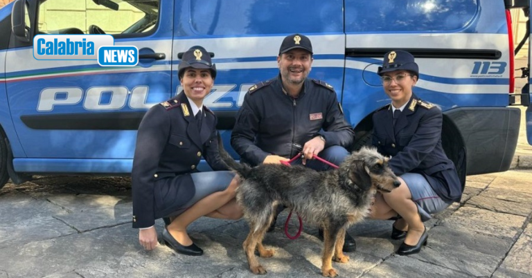 Reggio Calabria, polizia adotta un cane dal canile municipale: Lisa entra nella famiglia dei cinofili