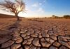 Temperature oltre la media, siccità ed eventi estremi: allarme clima in Europa
