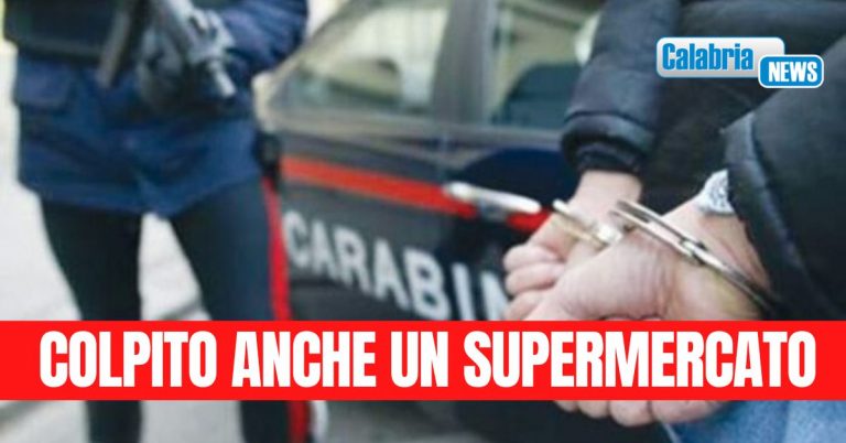 Furti in esercizi commerciali: tre arresti a Cosenza