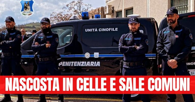 Paola: droga all’interno dell’istituto penitenziario