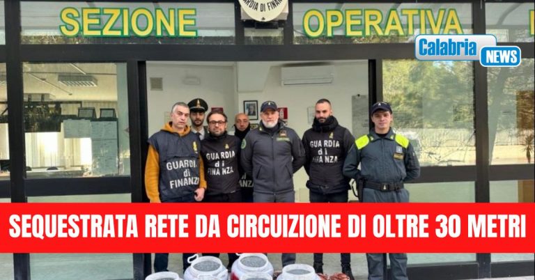 GdF Roan Vibo Valentia: lotta alla pesca di frodo del novellame di sarda