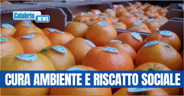 Calabria, agricoltura biologica strumento di lotta alla mafia: cooperativa Goel è una storia di resistenza
