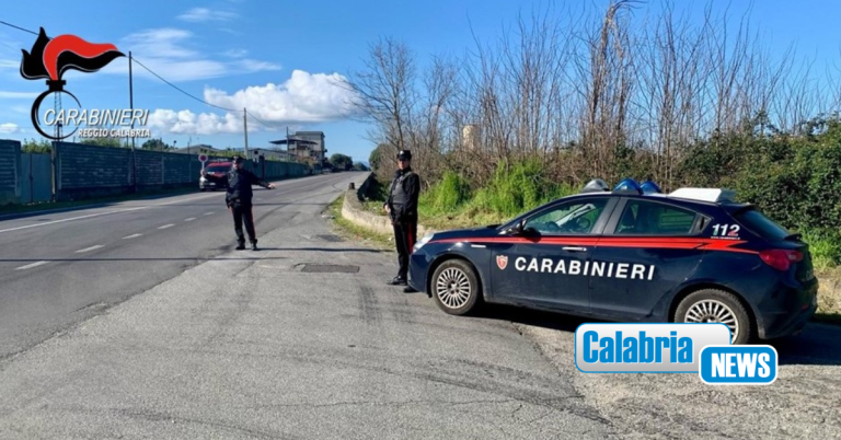 Rosarno, controllo del territorio: migliaia di euro di multa e numerosi veicoli sequestrati