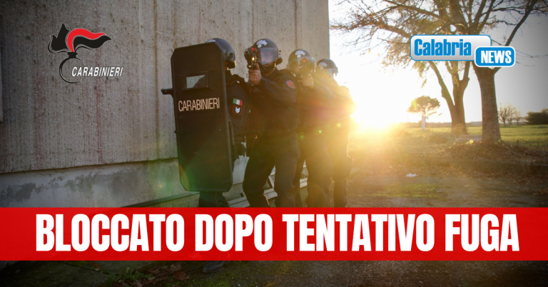 Dopo un anno e mezzo arrestato dai carabinieri nella Locride il latitante Bruno Gioffrè