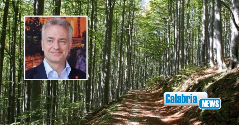 Forestazione, Gallo: “Approvati programma e piano attuativo annuale”