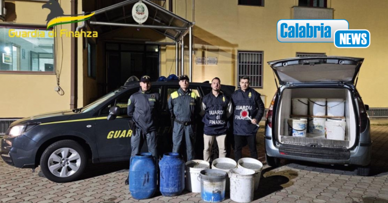 VIDEO-Pesca di frodo: Gdf sequestra 600 chili di novellame di sarda nell’Alto Ionio Cosentino