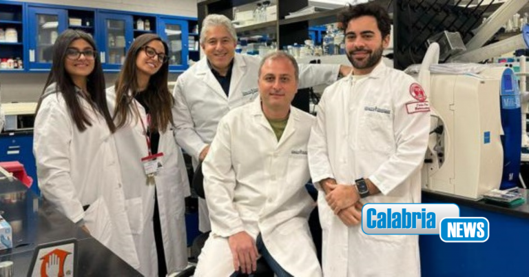 Tumori, una proteina alterata li fa crescere: sarà bersaglio per nuove cure