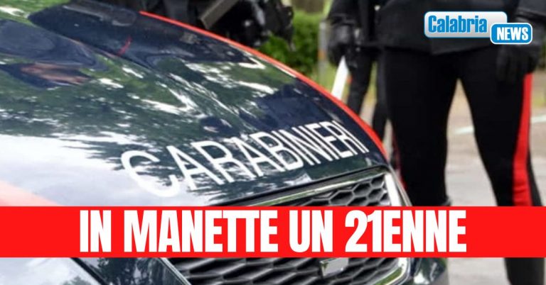 VIDEO-Blitz dei Carabinieri a Castrovillari: armi, droga e munizioni nascoste tra le canne di bambù