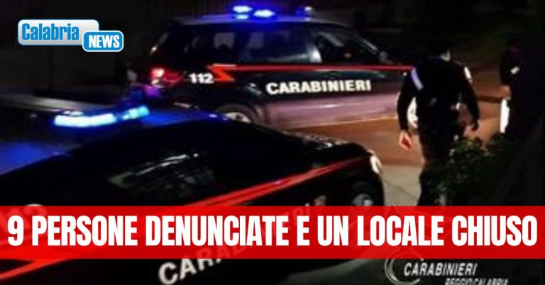 Servizi sul territorio: il bilancio dei controlli dei Carabinieri sulla piana di Gioia Tauro