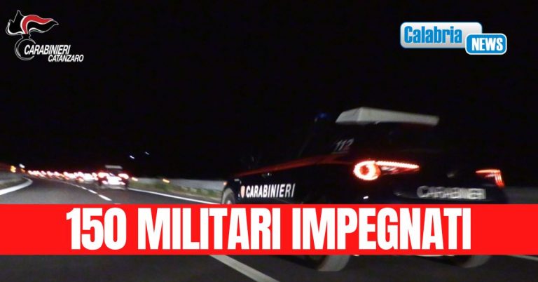 Maxi operazione dei Carabinieri a tutela dell’ambiente tra Catanzaro, Cosenza e Vibo Valentia
