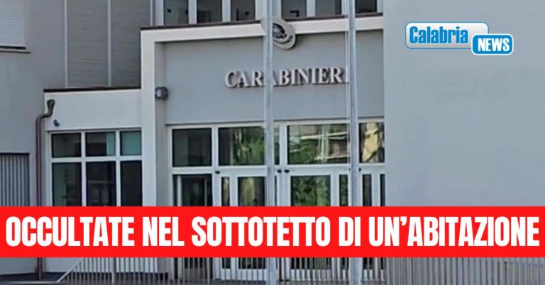 Carabinieri, sequestrate armi e droga nella Locride: arrestato un 77enne