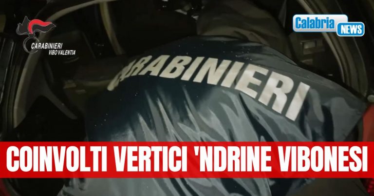 VIDEO-Traffico di droga dall’Albania: 11 misure cautelari