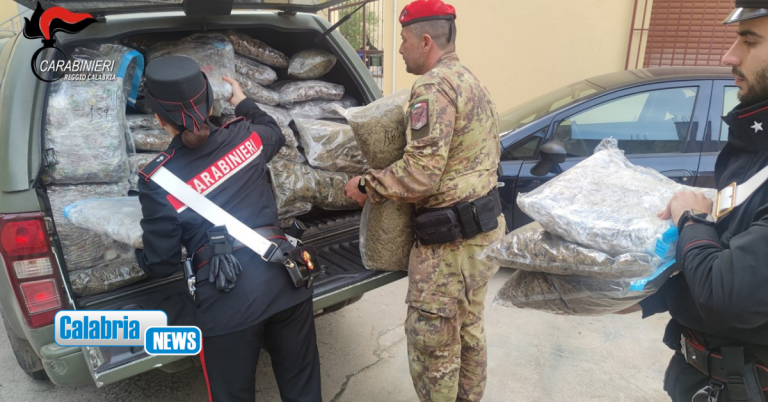 VIDEO-Aveva 188 kg di marijuana, un fucile e munizioni: arrestato pluripregiudicato a Rosarno
