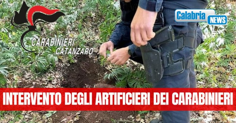 Maida: rinvenuta nelle campagne una granata della seconda guerra mondiale