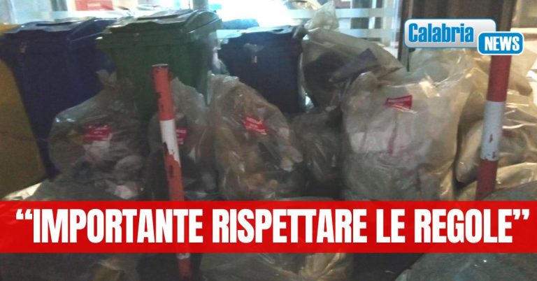 Catanzaro, multe per 10mila euro alle attività commerciali della città per la scorretta raccolta differenziata