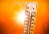 Caldo, l’avvertimento di Pregliasco: “38°C in molte città, ma il vero nemico è l’umidità”