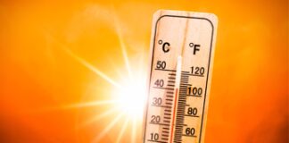 Caldo, l’avvertimento di Pregliasco: “38°C in molte città, ma il vero nemico è l’umidità”