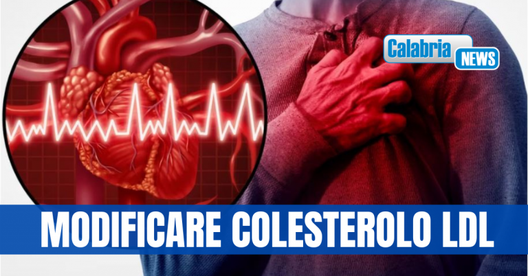 Studio Università Napoli e Catanzaro: In Calabria sono oltre 500 vittime di infarto in un anno