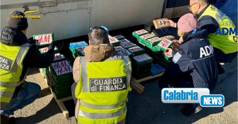 VIDEO-Livorno, sequestrati 217 chili di cocaina al porto: la droga era diretta in Calabria