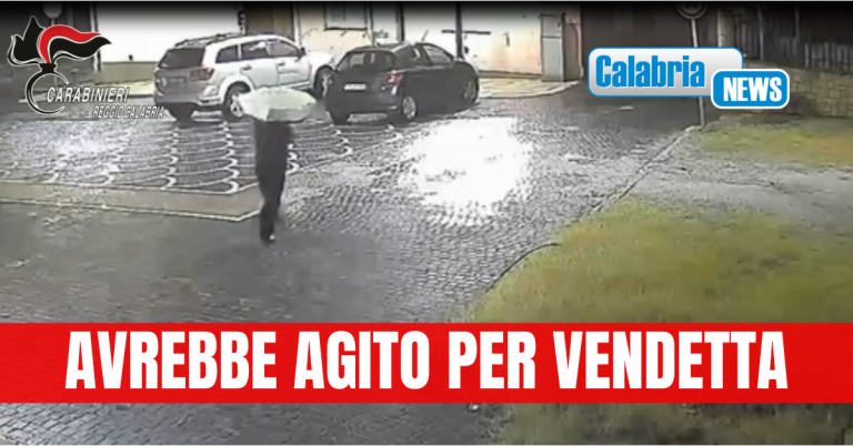 VIDEO-Convalidato il fermo del piromane seriale a Marina di Gioiosa Ionica