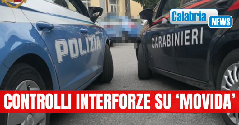 Vibo Valentia, coltello con lama di 6,5 centimetri nel vano portaoggetti dell’auto: denunciato