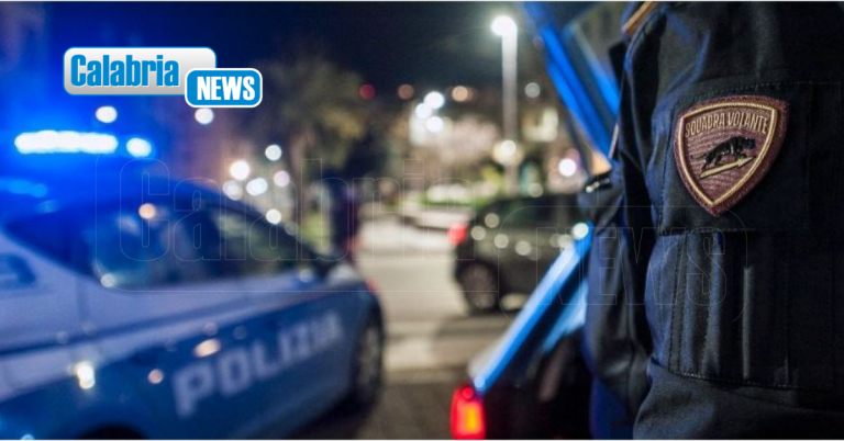 Poliziotti investiti e feriti a Catanzaro: Solidarietà dal Sindaco e dalla Camera di Commercio